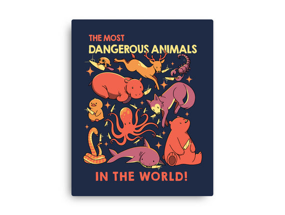 Dangerous Animals That Choose Violence