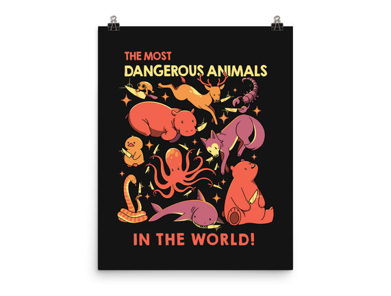 Dangerous Animals That Choose Violence