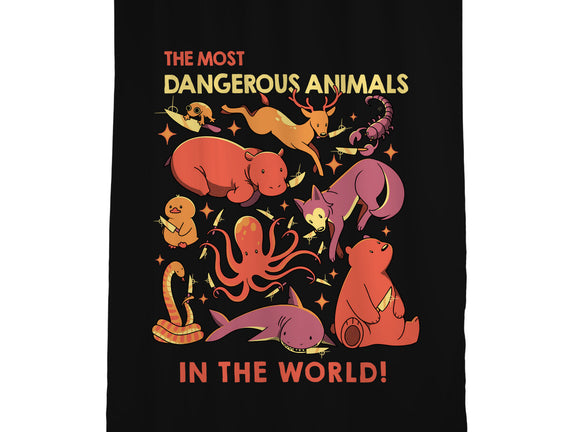 Dangerous Animals That Choose Violence
