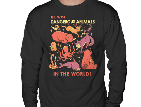 Dangerous Animals That Choose Violence