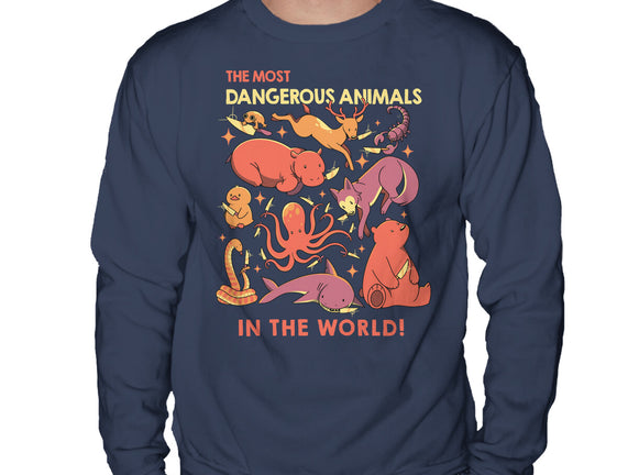 Dangerous Animals That Choose Violence