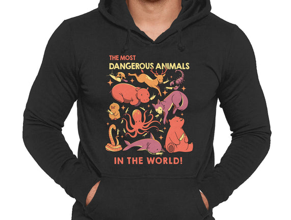 Dangerous Animals That Choose Violence