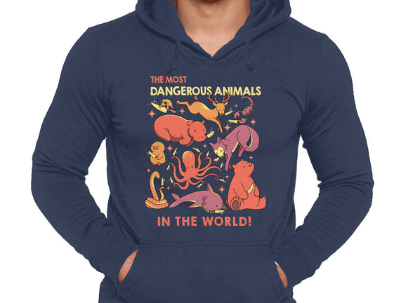 Dangerous Animals That Choose Violence