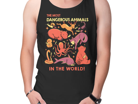 Dangerous Animals That Choose Violence