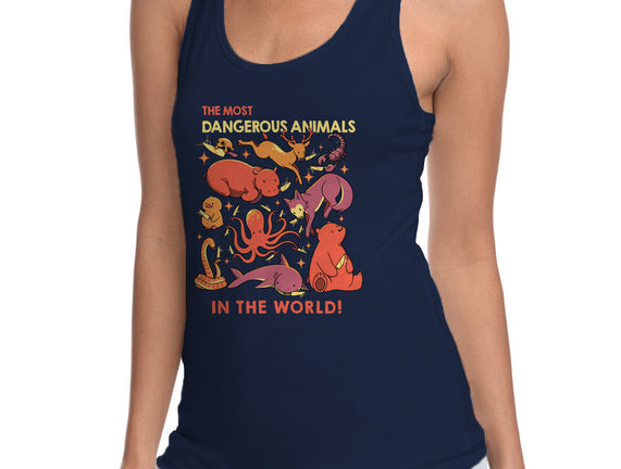 Dangerous Animals That Choose Violence