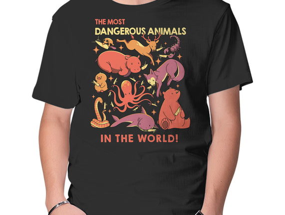 Dangerous Animals That Choose Violence