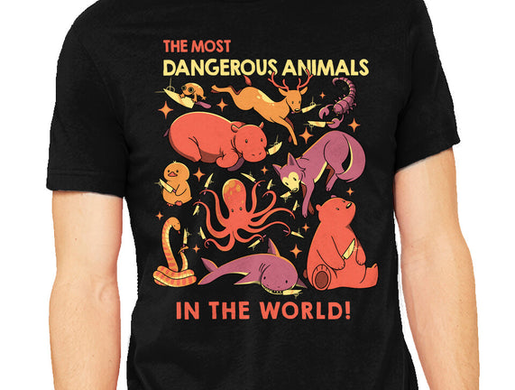 Dangerous Animals That Choose Violence