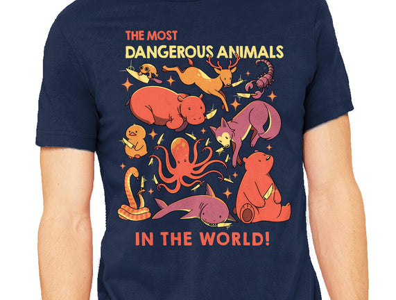 Dangerous Animals That Choose Violence