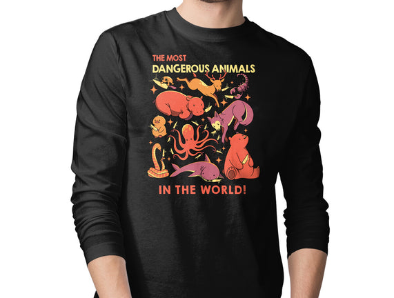 Dangerous Animals That Choose Violence