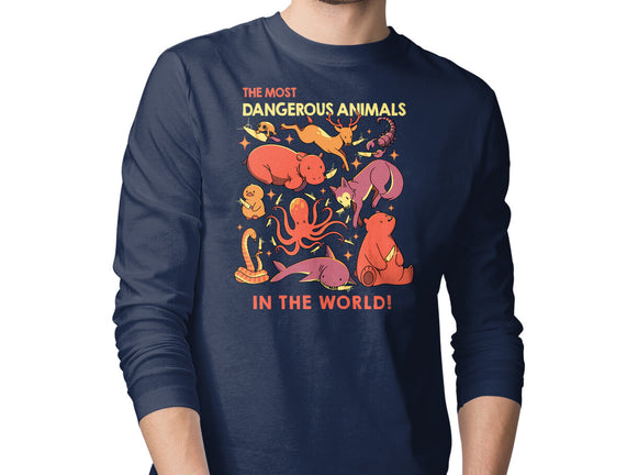 Dangerous Animals That Choose Violence