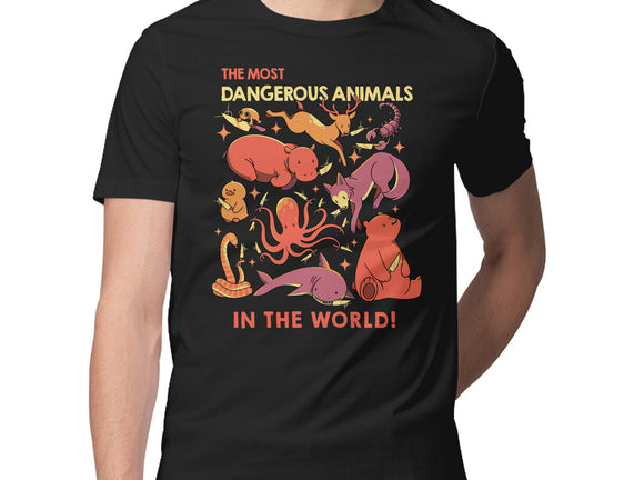Dangerous Animals That Choose Violence