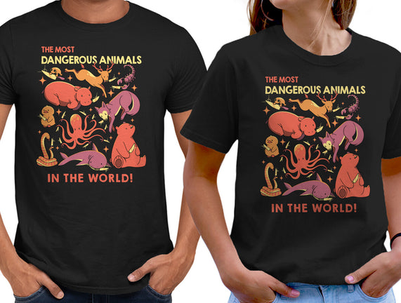 Dangerous Animals That Choose Violence