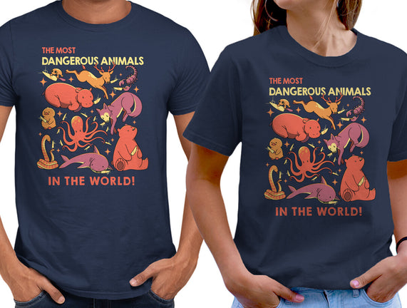 Dangerous Animals That Choose Violence