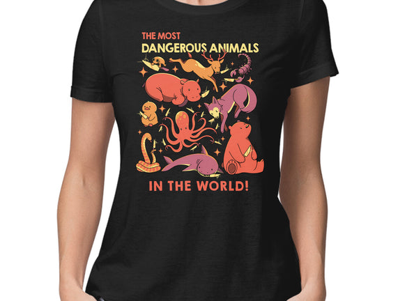 Dangerous Animals That Choose Violence