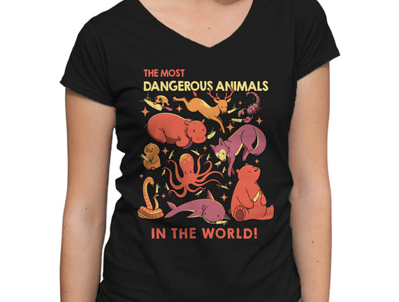 Dangerous Animals That Choose Violence
