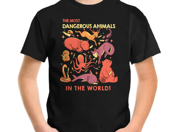 Dangerous Animals That Choose Violence