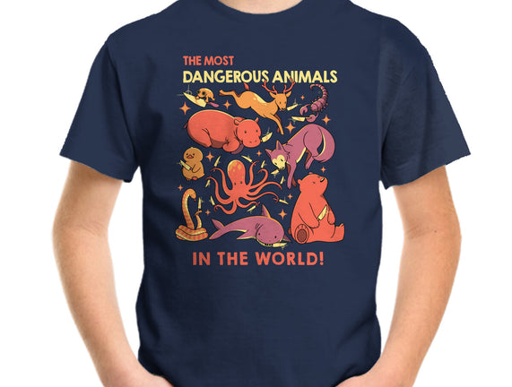 Dangerous Animals That Choose Violence