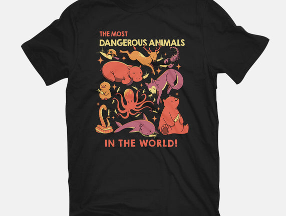 Dangerous Animals That Choose Violence