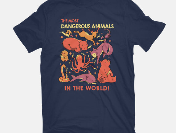 Dangerous Animals That Choose Violence