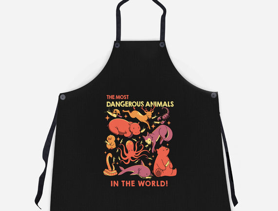 Dangerous Animals That Choose Violence