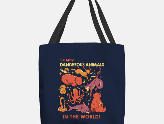 Dangerous Animals That Choose Violence