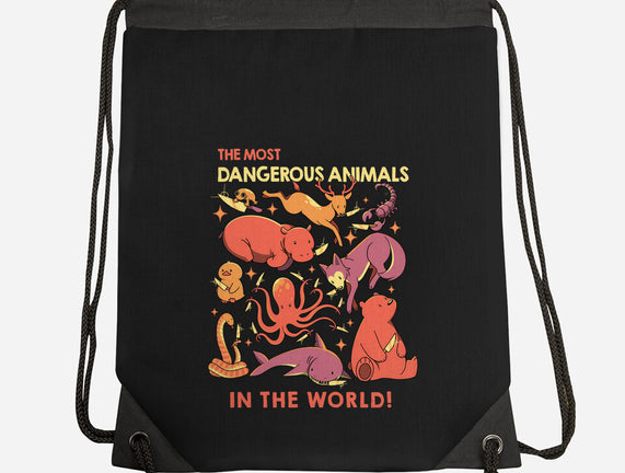 Dangerous Animals That Choose Violence