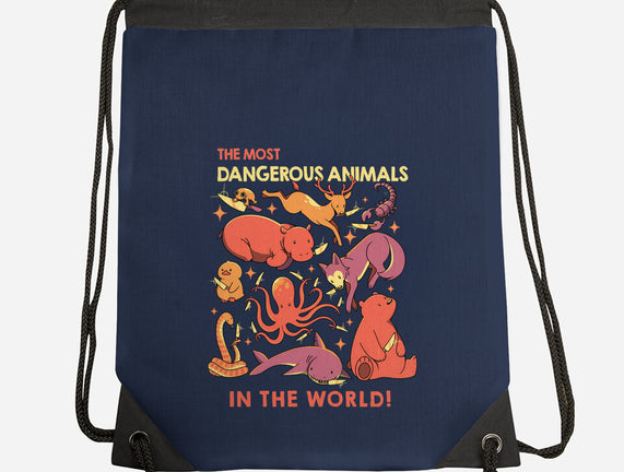 Dangerous Animals That Choose Violence