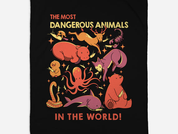 Dangerous Animals That Choose Violence