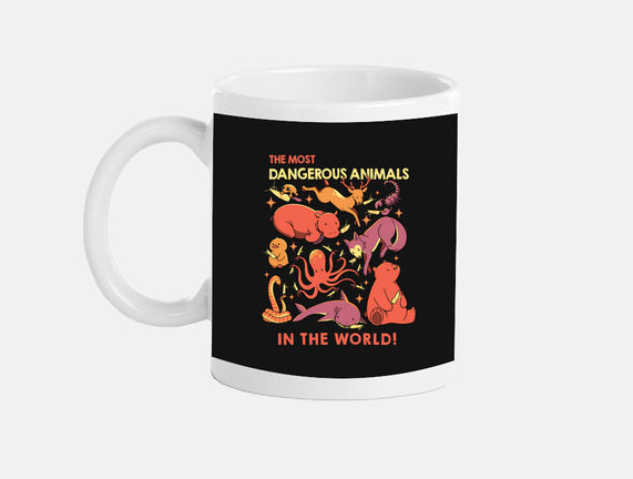 Dangerous Animals That Choose Violence