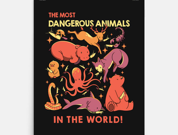 Dangerous Animals That Choose Violence