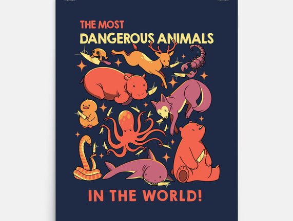 Dangerous Animals That Choose Violence