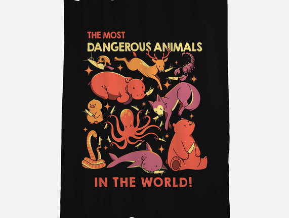 Dangerous Animals That Choose Violence