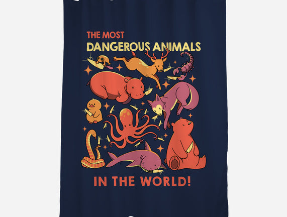 Dangerous Animals That Choose Violence