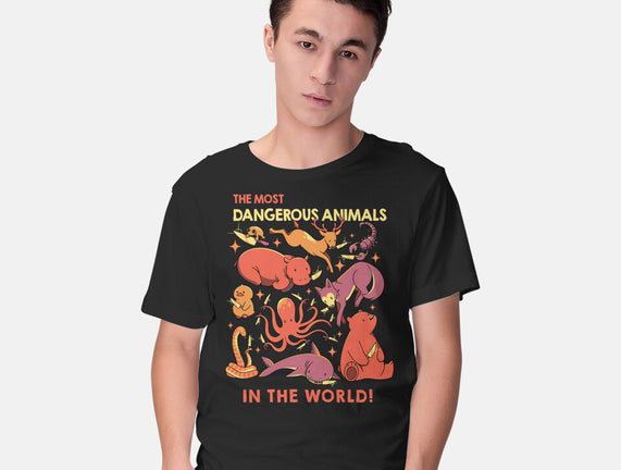 Dangerous Animals That Choose Violence