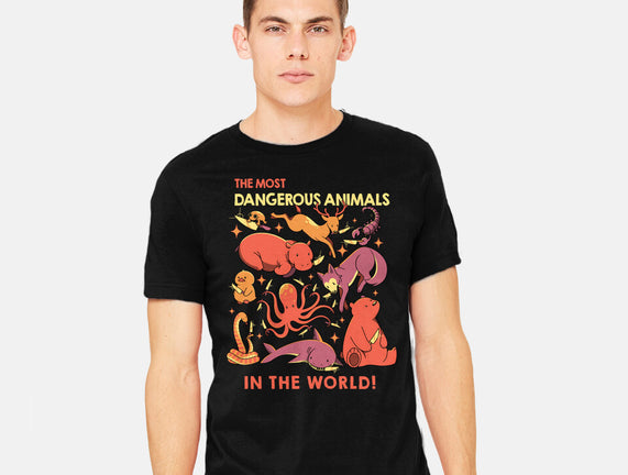 Dangerous Animals That Choose Violence