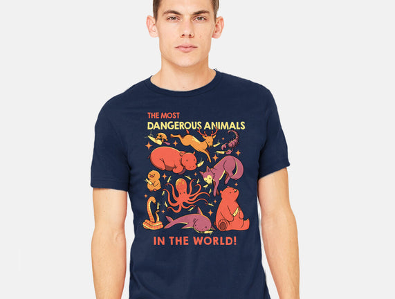 Dangerous Animals That Choose Violence