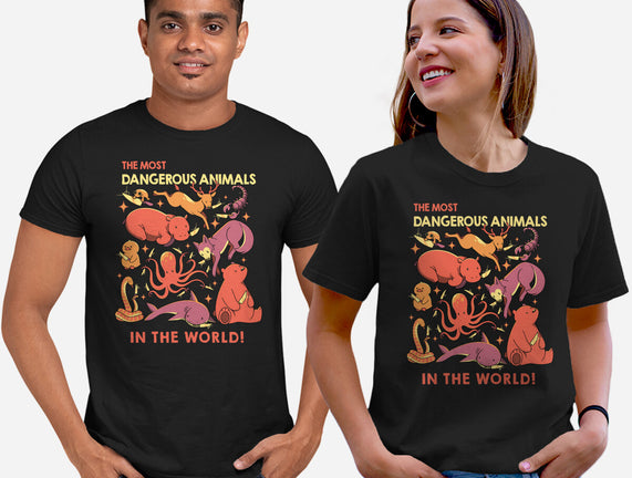 Dangerous Animals That Choose Violence