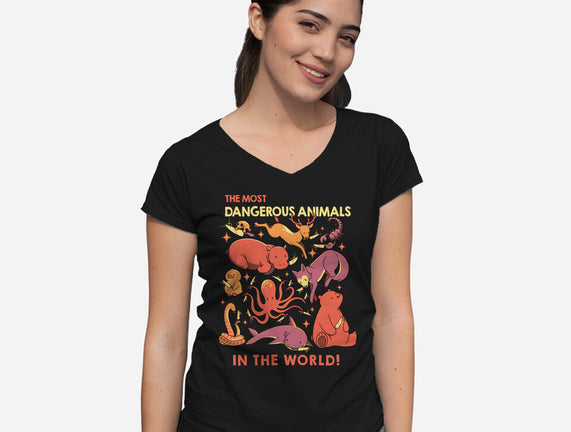 Dangerous Animals That Choose Violence