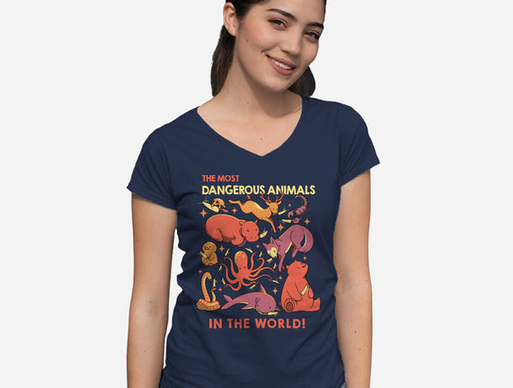 Dangerous Animals That Choose Violence