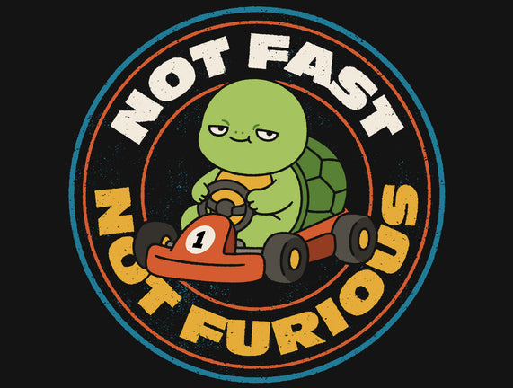 Not Fast Not Furious
