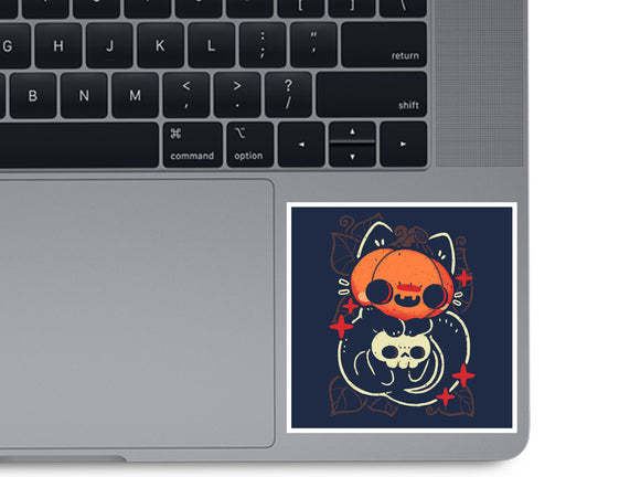 Cute Pumpkin Head Cat