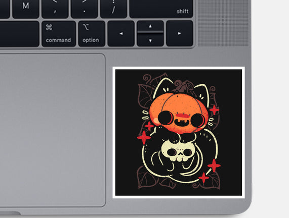 Cute Pumpkin Head Cat