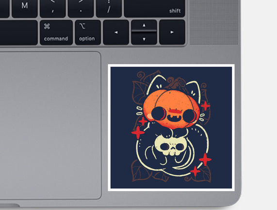 Cute Pumpkin Head Cat