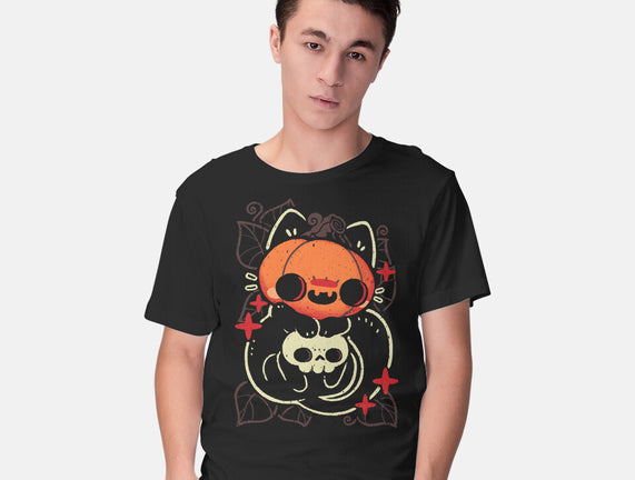 Cute Pumpkin Head Cat