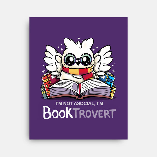 Booktrovert-None-Stretched-Canvas-Vallina84