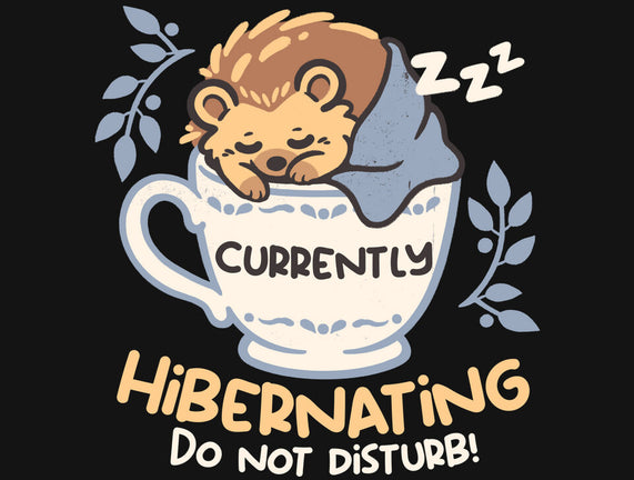 Currently Hibernating Hedgehog