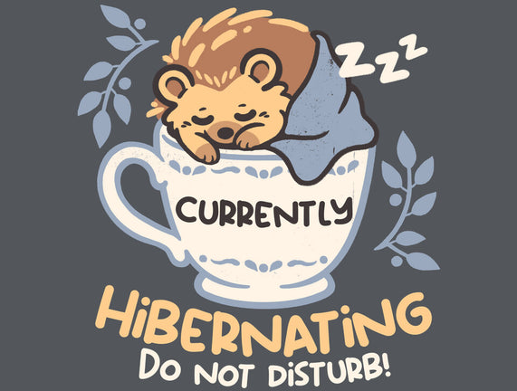 Currently Hibernating Hedgehog