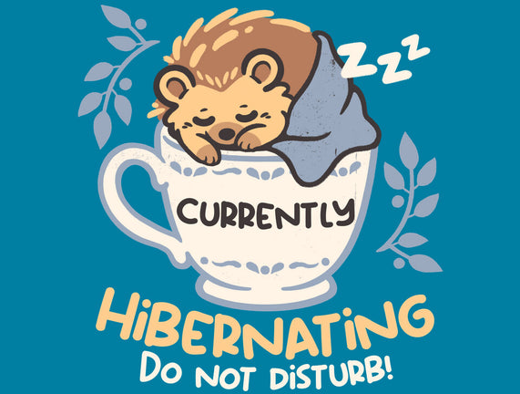 Currently Hibernating Hedgehog