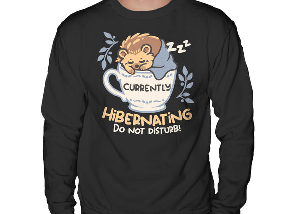 Currently Hibernating Hedgehog