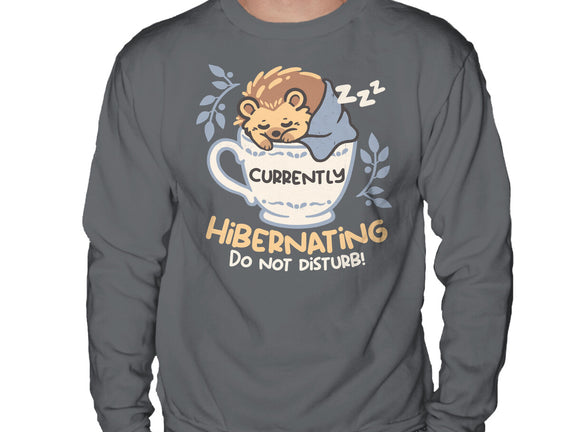 Currently Hibernating Hedgehog